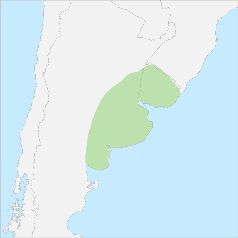 팜파스 국가 지도
