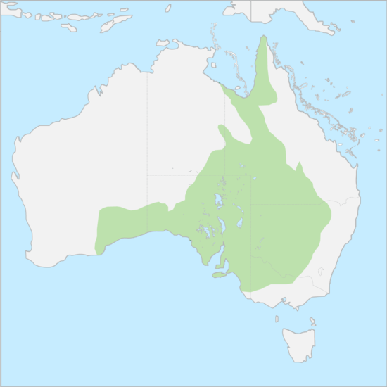 호주 평원 지도